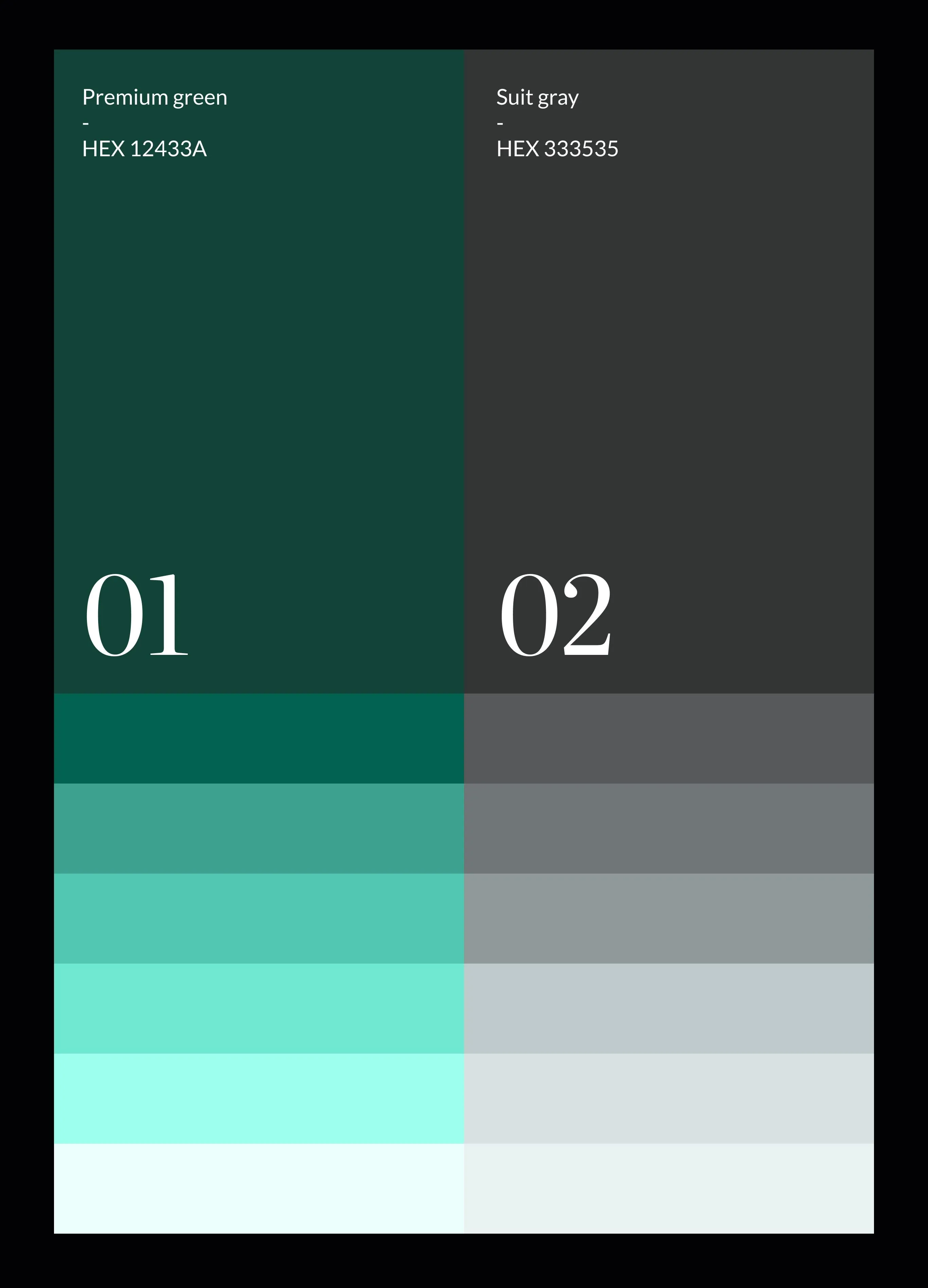Dwa pionowe prostokąty w kolorach „Premium green” (HEX 12433A) po lewej stronie i „Suit gray” (HEX 333535) po prawej stronie, na dole obu prostokątów znajdują się gradacje odcieni kolorów, stopniowo rozjaśniające się ku dołowi. Nad prostokątami są nazwy kolorów i ich wartości HEX. Na środku prostokątów znajdują się liczby: 01 w części zielonej i 02 w części szarej.