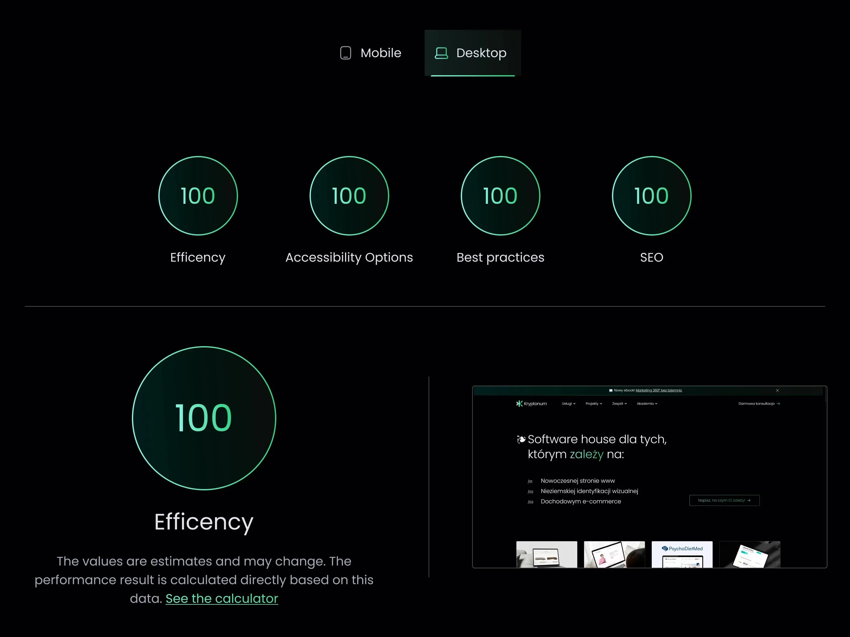 Screenshot showing a 100/100 score in the Google Page Speed tool.