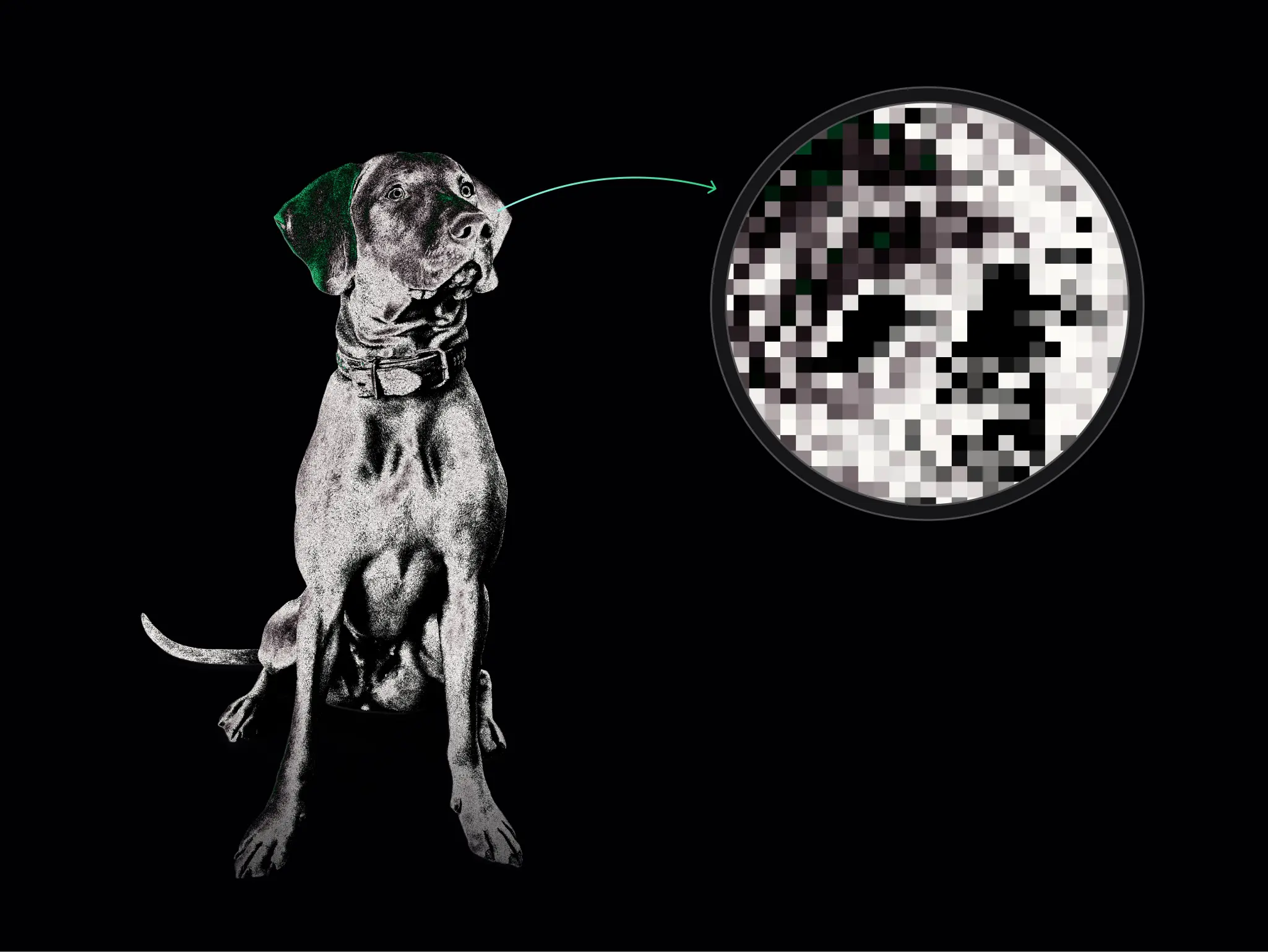 Monochromatyczny pies w obroży na czarnym tle z zielonymi akcentami, z prawej strony zbliżenie na piksele